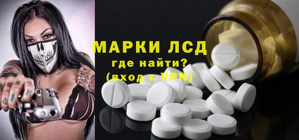 мяу мяу мука Инсар