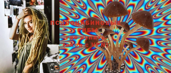 дживик Иннополис