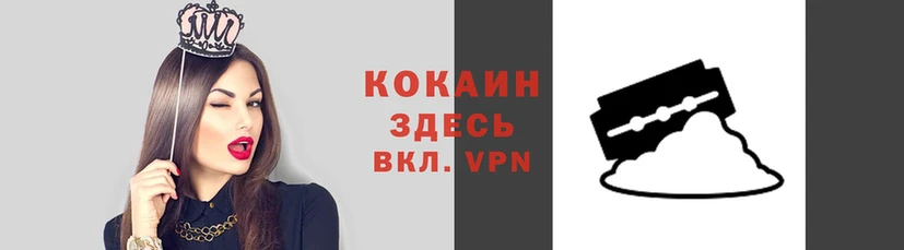 мяу мяу мука Инсар