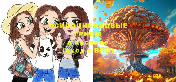 мяу мяу мука Инсар